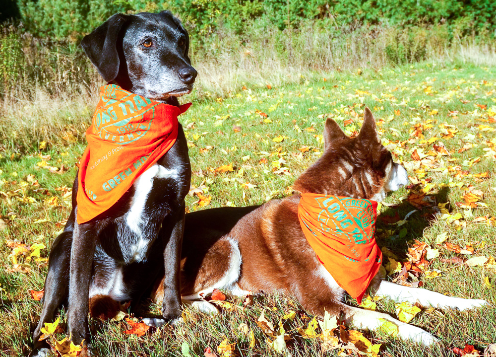 Hiking During Hunting Season in Vermont