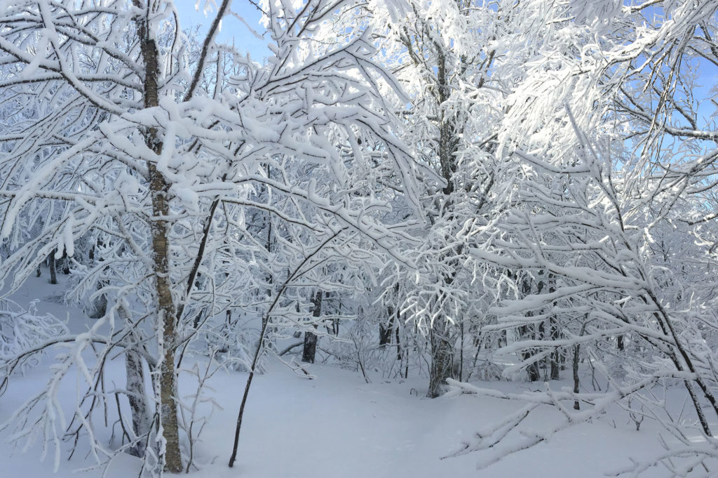 Finding the white blazes in a snowy winter landscape is no easy feat.