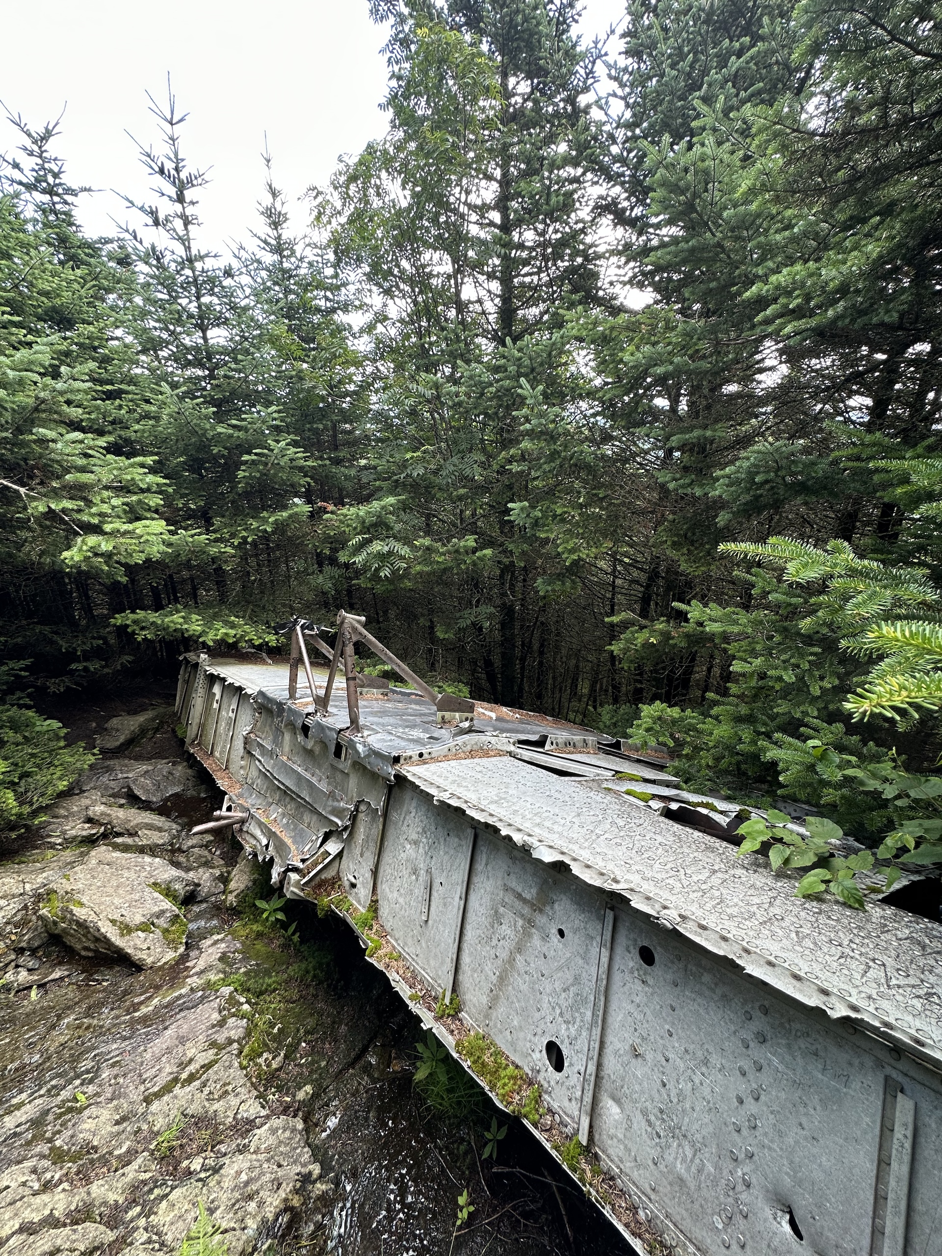 wing of a B24-J bomber plane that crashed on the Alpine Trail in 1944