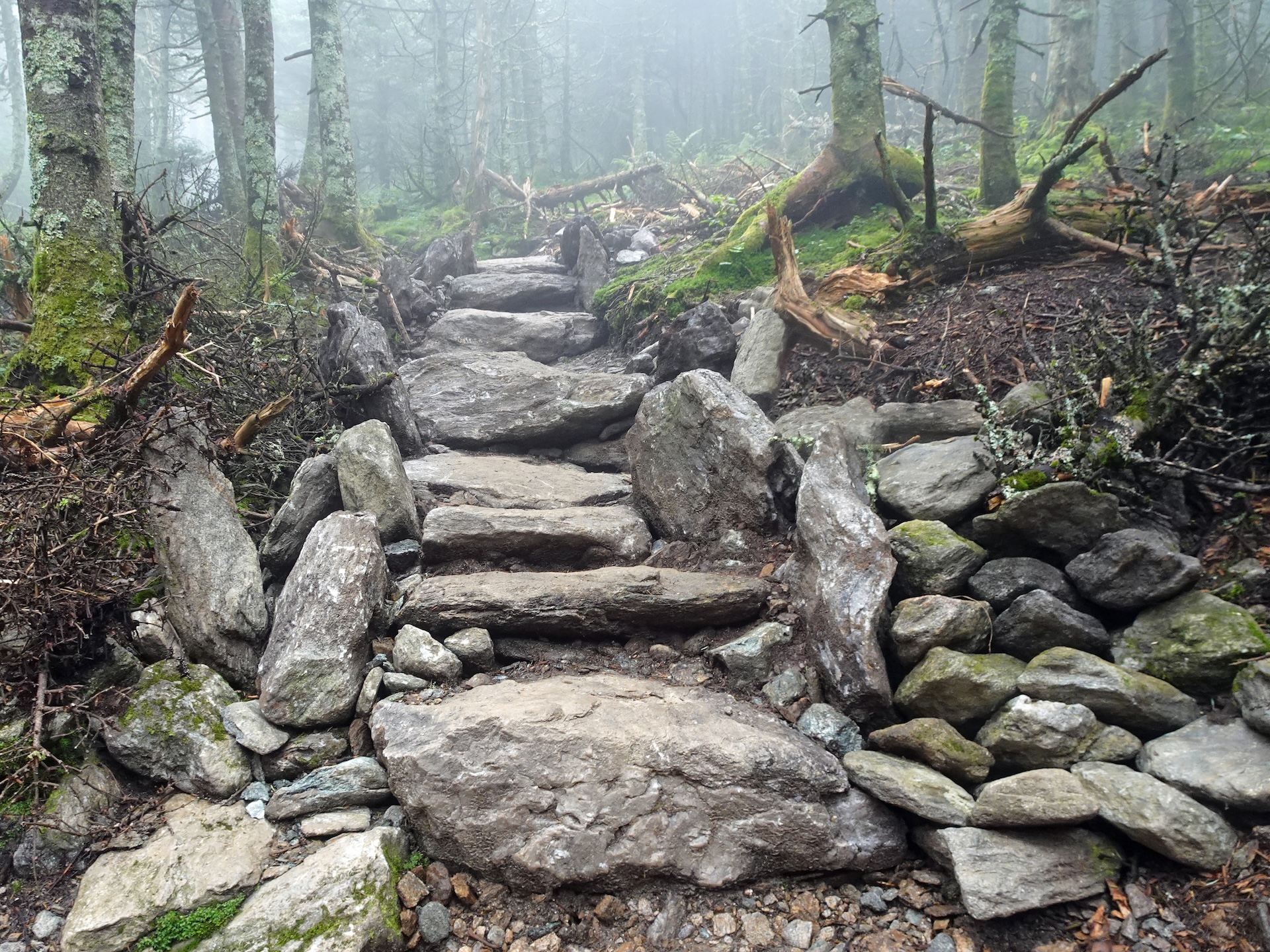 stone stairs on burrows trail