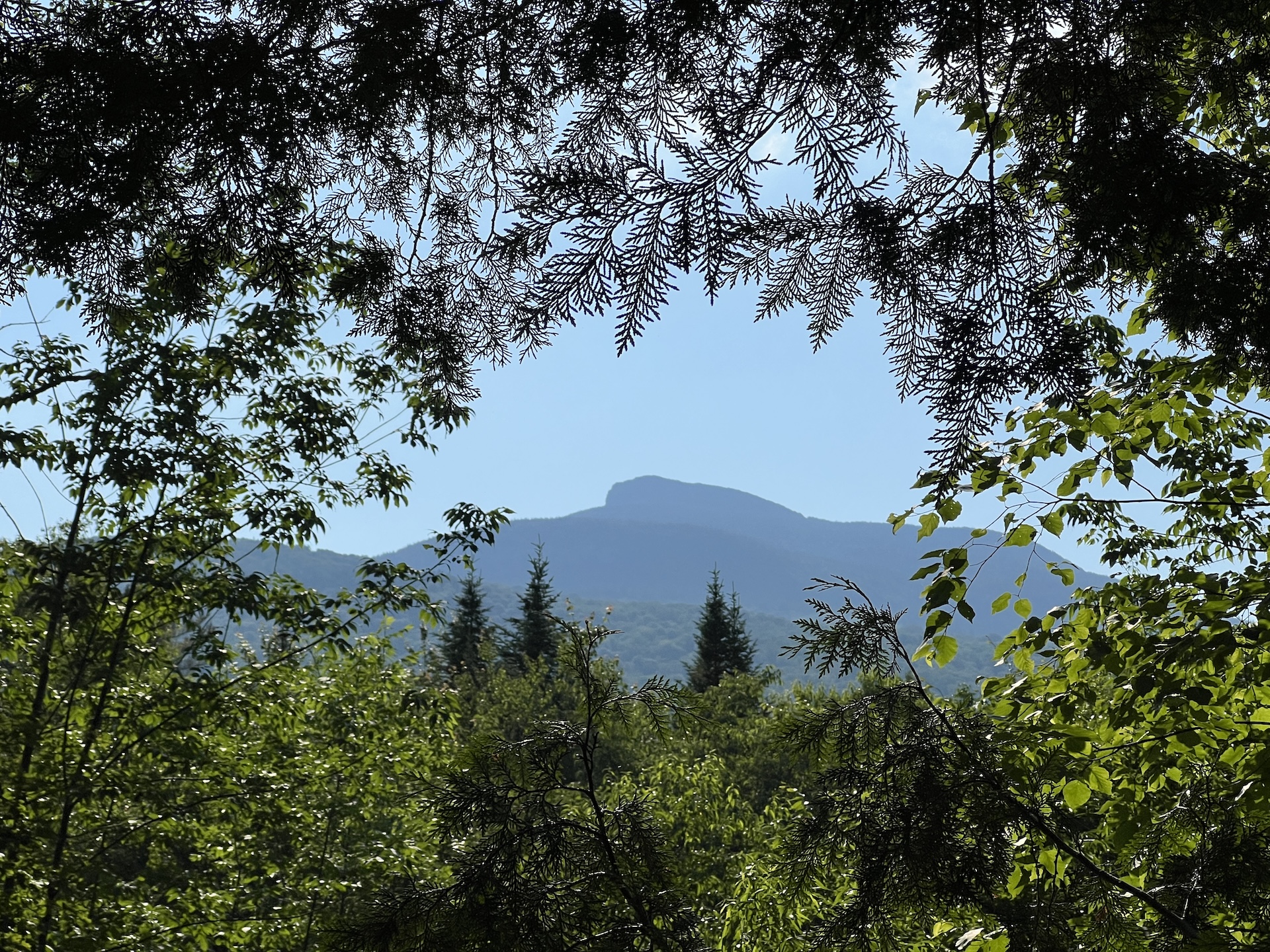 view of Camel's Hump summit