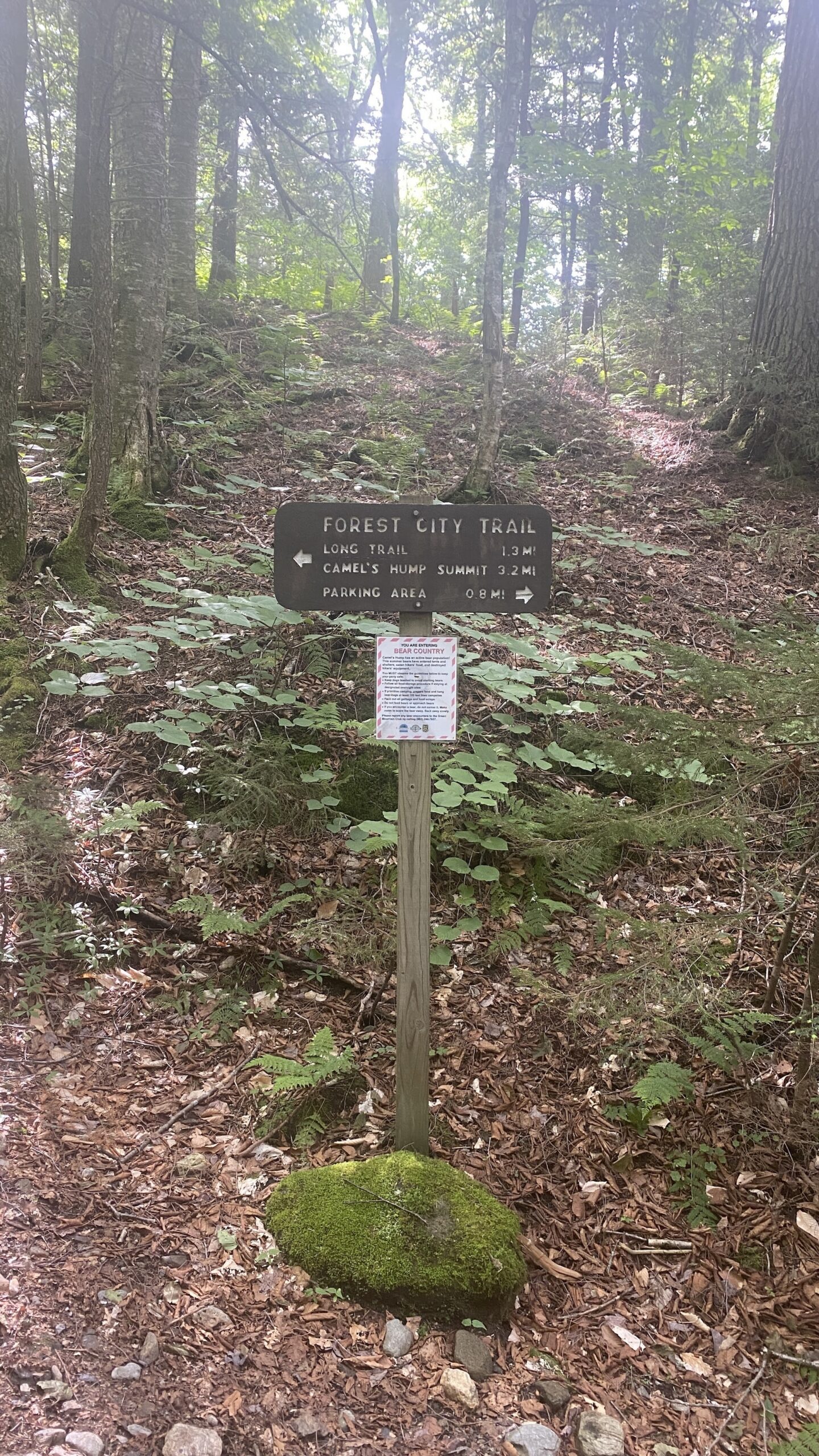 Forest City, Long Trail, and Burrows Trail Loop