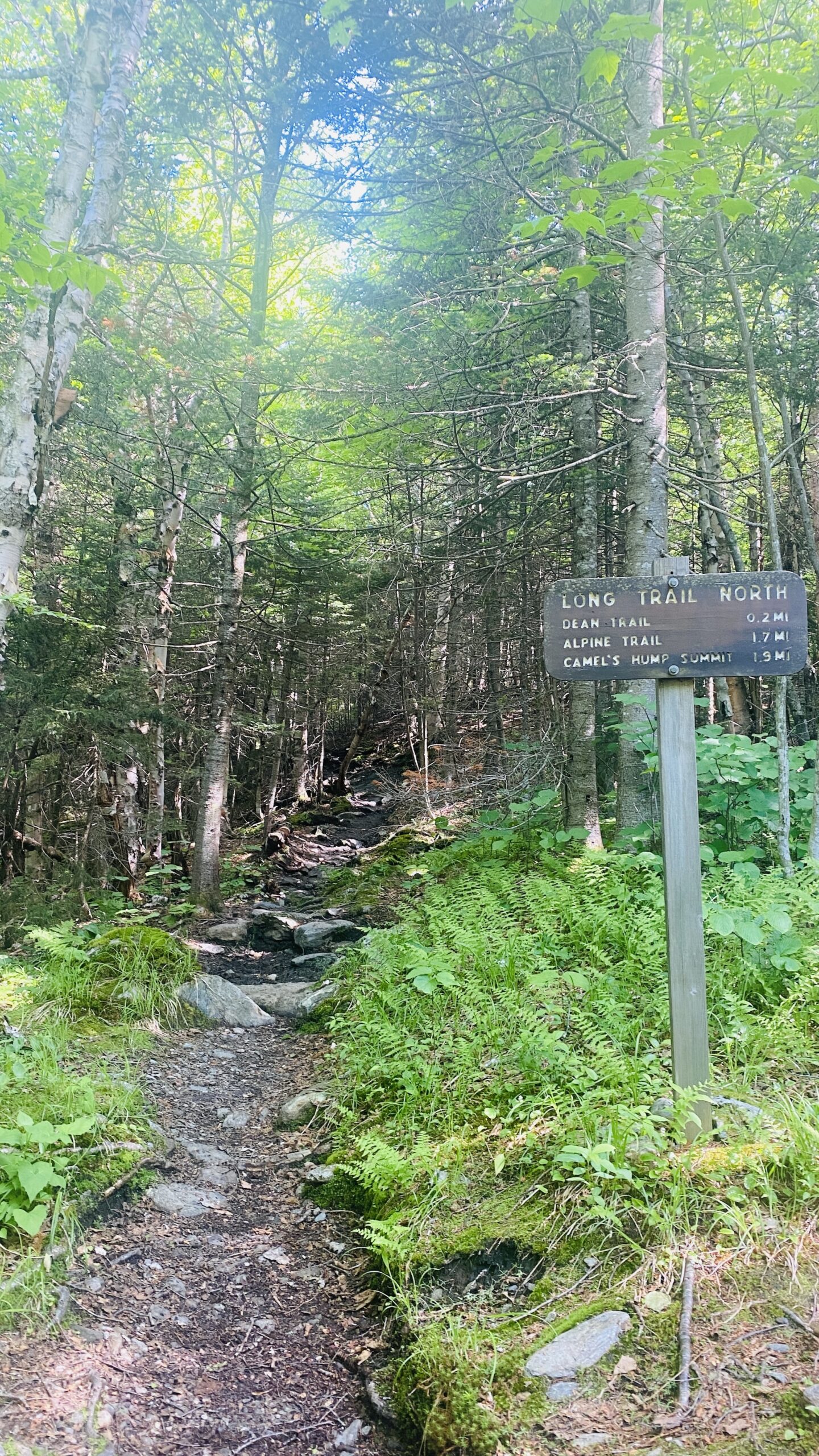trail signs on the Long Trail north