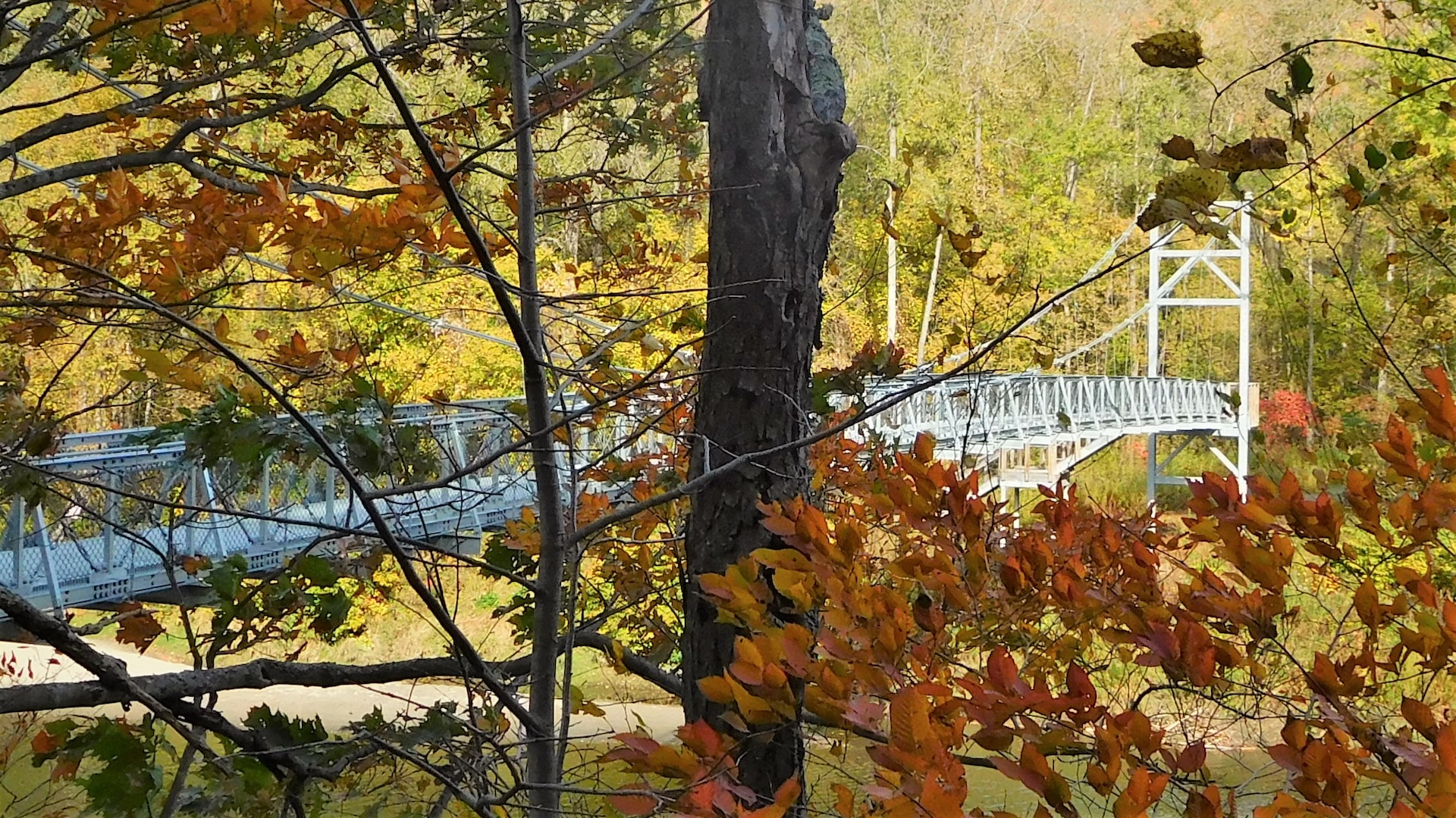 view of winooski river footbridge through fall foliage trees