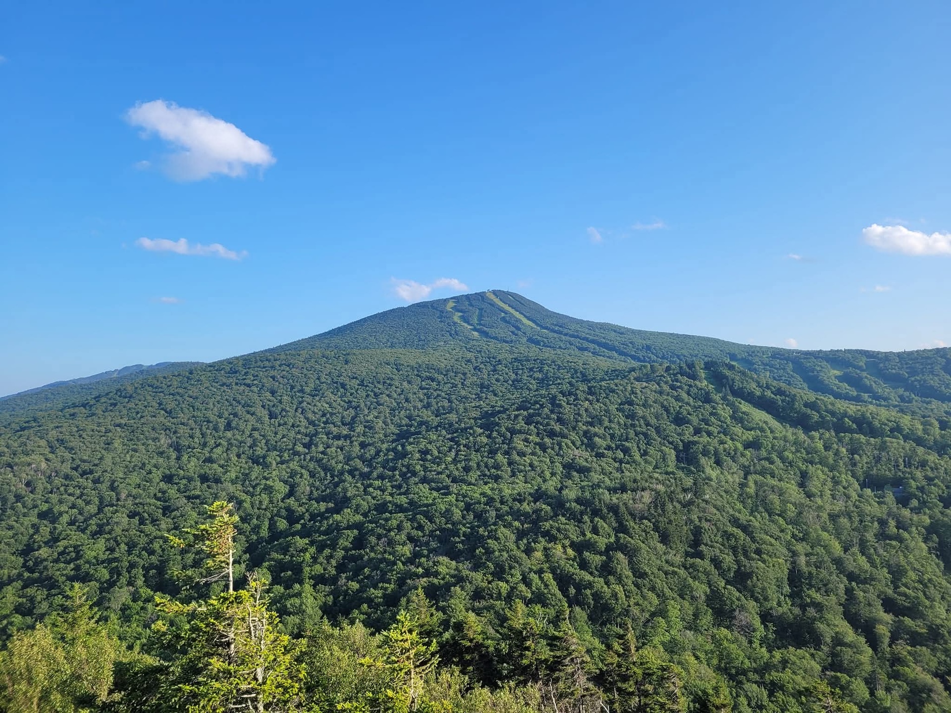 Deer Leap Trail