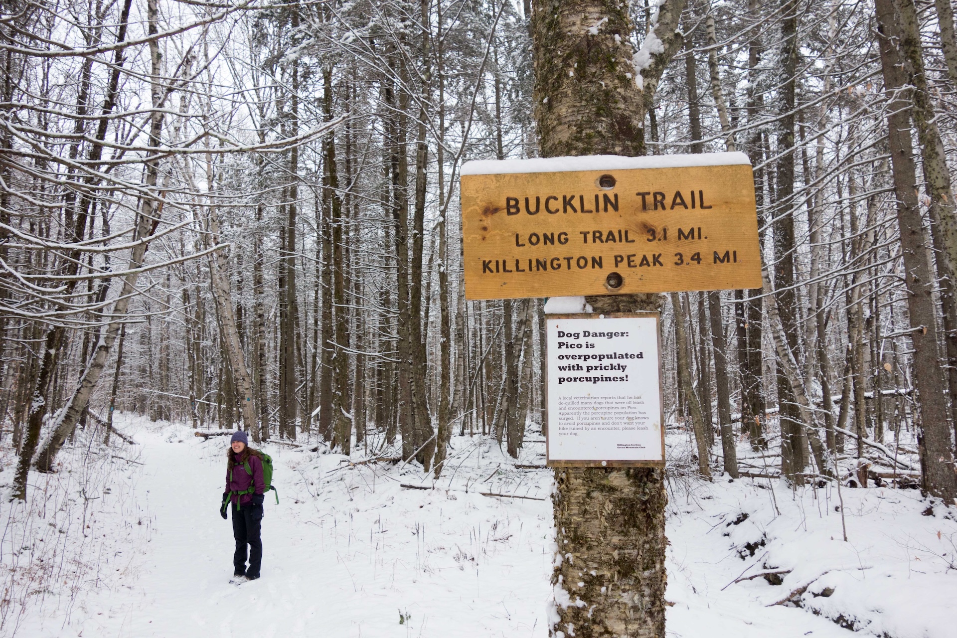 Killington Summit via Bucklin Trail