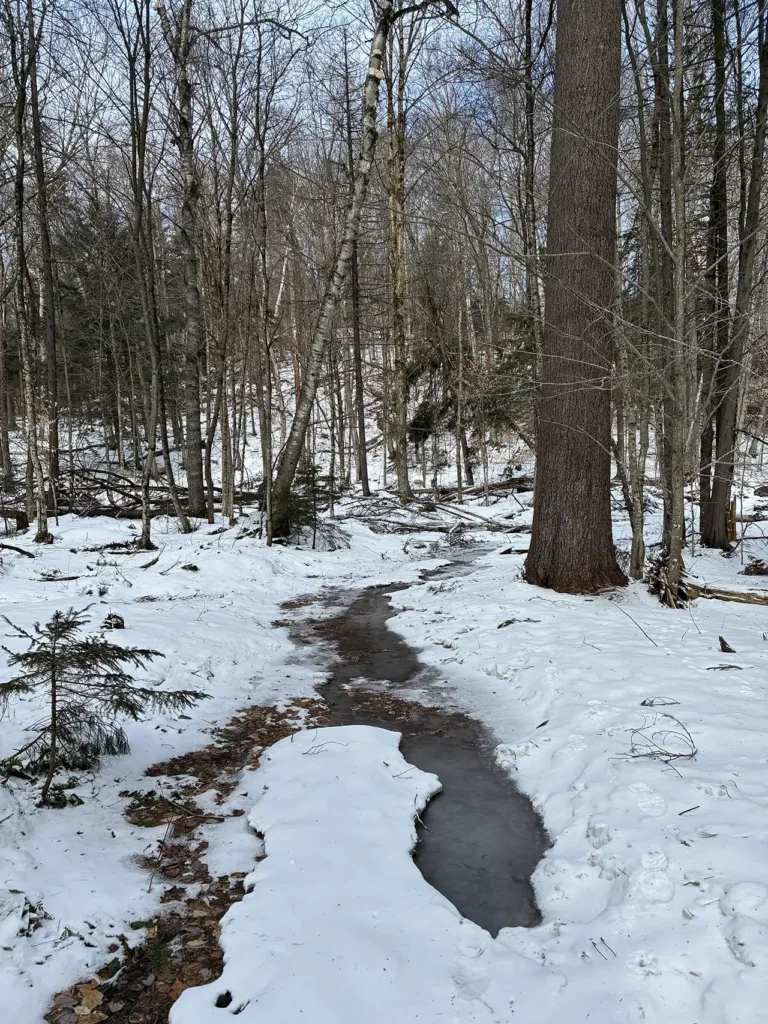 Shoulder Season Mud Season Conditions Nigel Bates