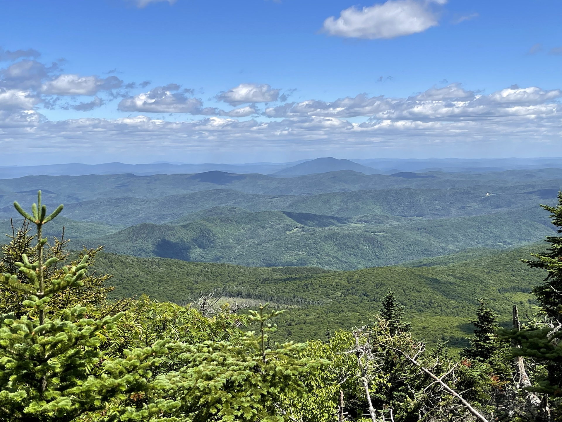 Shrewsbury Peak Trail 