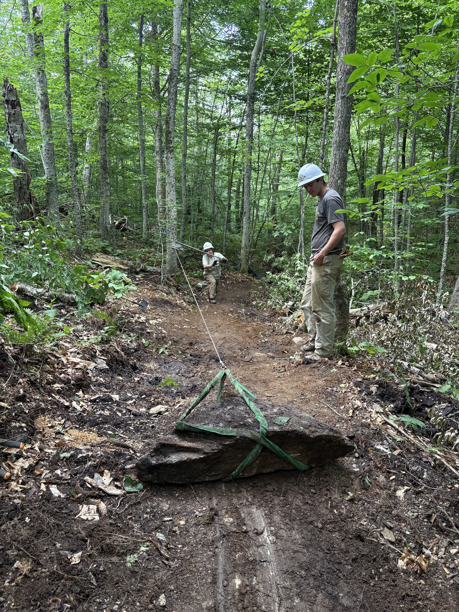 trail crews work on Long Trail relocation on Belvidere mountain
