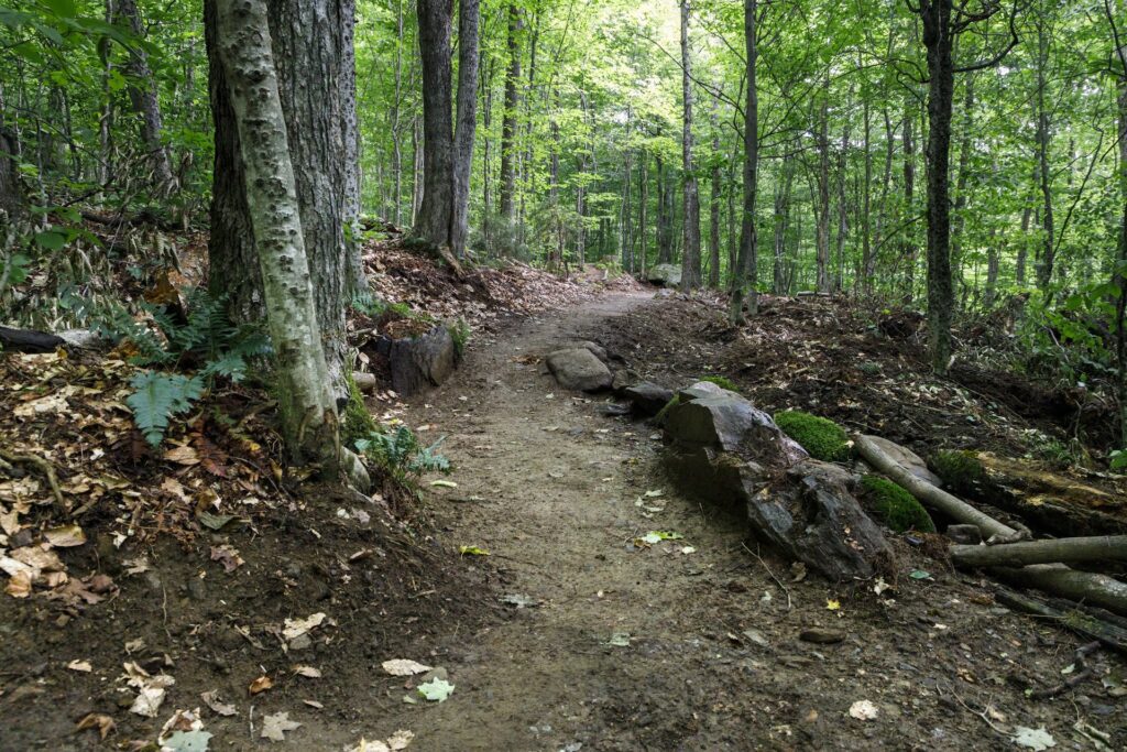 a smooth, wide dirt trail through the woods with trees and rocks on either side