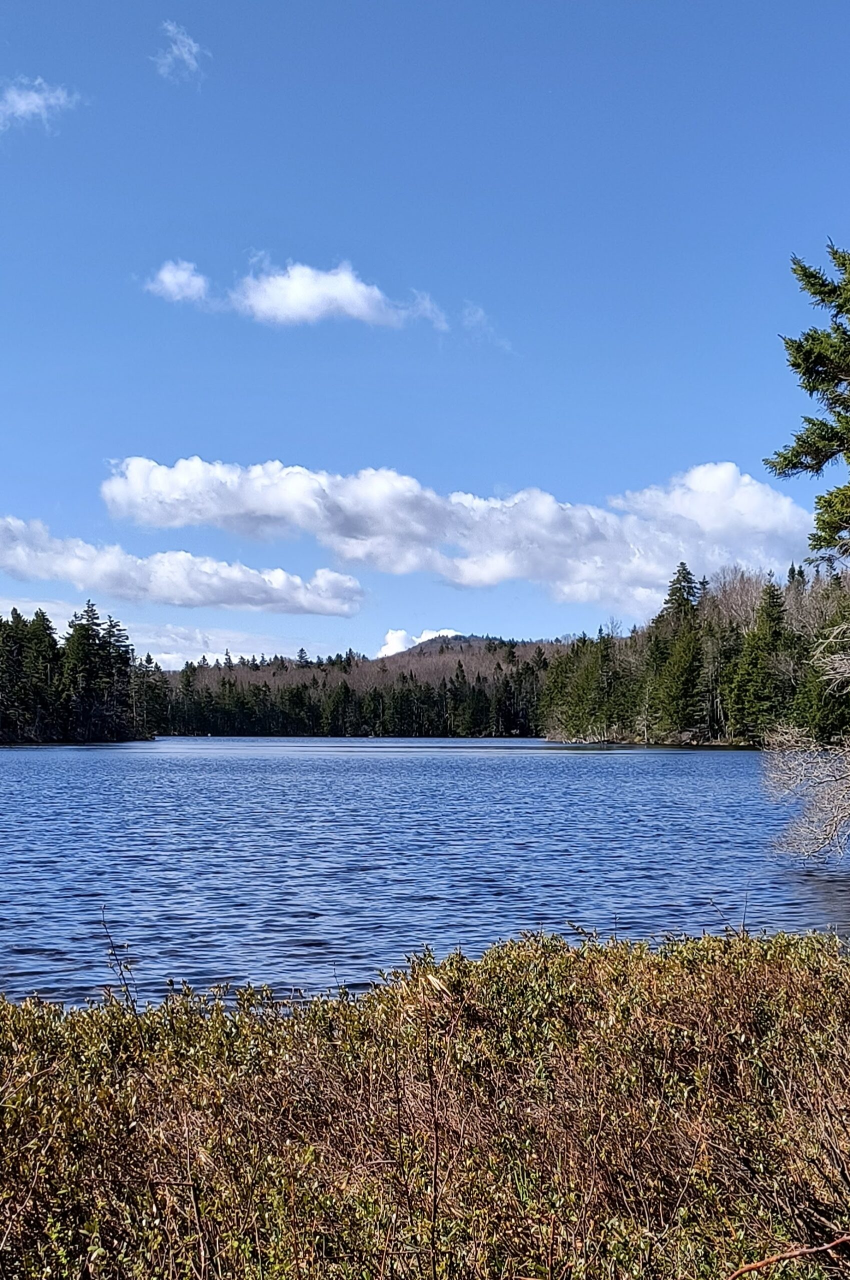 Griffith Lake Trail
