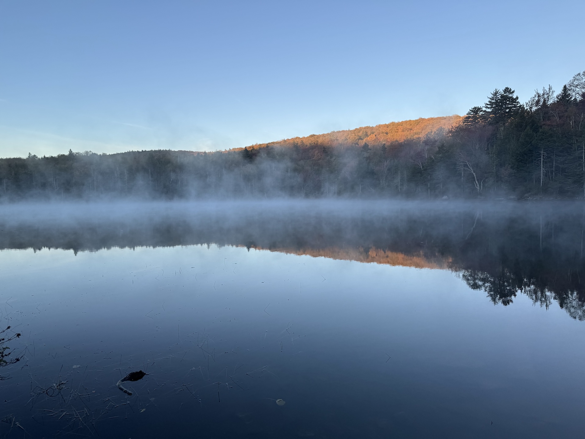 mist rises above still pond water