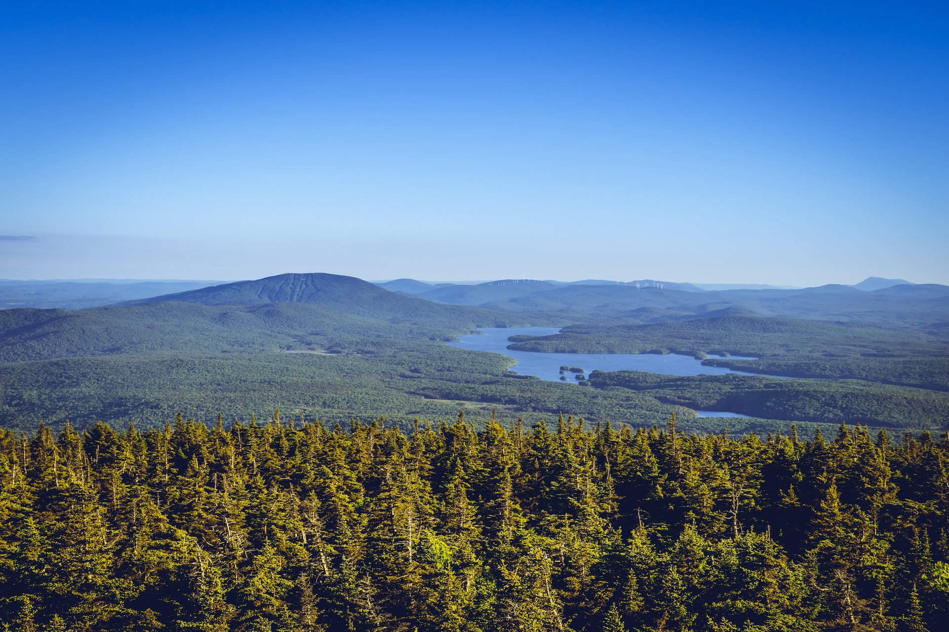 view south from stratton mountain firetower